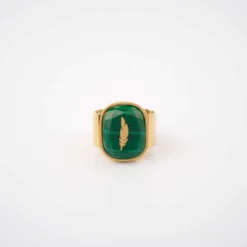 Bague Feather Malachite En Acier Jaune - Zag Bijoux