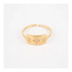 Bague Lassie En Acier Or Jaune - Zag Bijoux