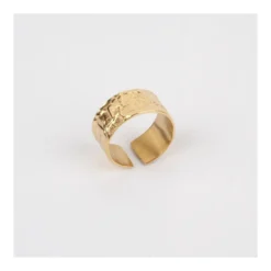 Bague Pompei En Acier Or Jaune - Zag Bijoux