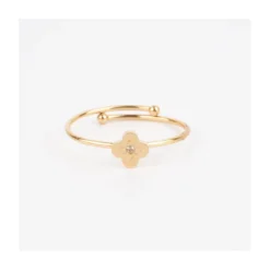 Bague Ruiz En Acier Or Jaune - Zag Bijoux