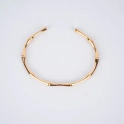 Bracelet Jonc Bambou Plaqué Or - Pomme Cannelle 6 Bracelet Jonc Bambou Plaqué Or - Pomme Cannelle -Bijoux Fantaisie bracelet jonc bambou plaque or pomme cannelle 1