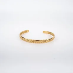 Bracelet Jonc Benoit Acier Or - Zag Bijoux