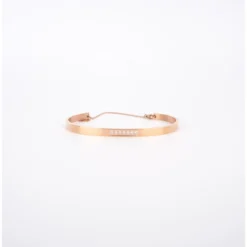 Bracelet Jonc Strass En Acier Rose - Zag Bijoux