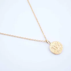 Collier Capricorne Astro Plaqué Or - Pomme Cannelle