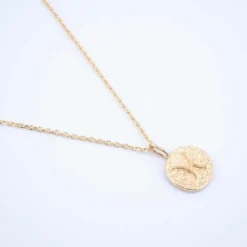 Collier Poisson Astro Plaqué Or - Pomme Cannelle