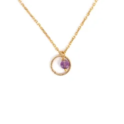 Collier RCL0896 En Plaqué Or - Pomme Cannelle -Bijoux Fantaisie collier rcl0896 en plaque or pomme cannelle 2