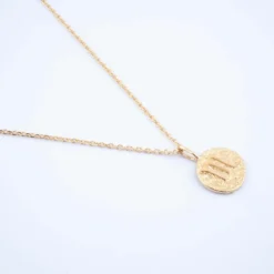 Collier Scorpion Astro Plaqué Or - Pomme Cannelle