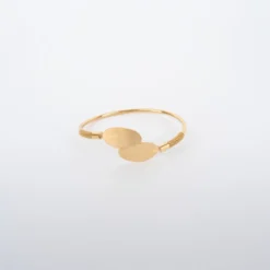 Jonc Double Plume En Acier Jaune - Zag Bijoux